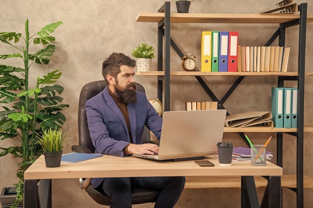 Confident bearded boss study online on laptop in the office business education