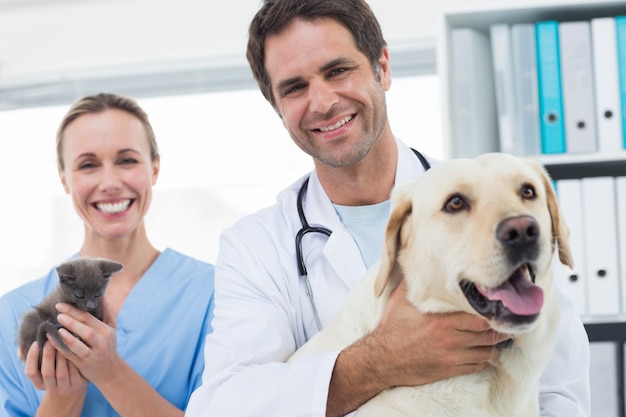 Confident veterinarians with dog and kitten