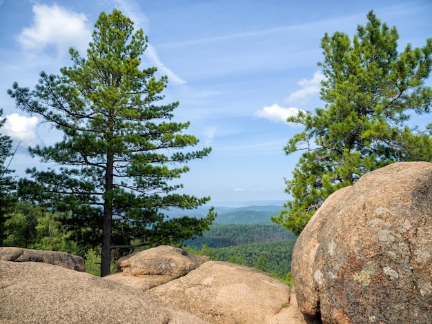 Coniferous cedars grow among the rocks View of a large space of taiga