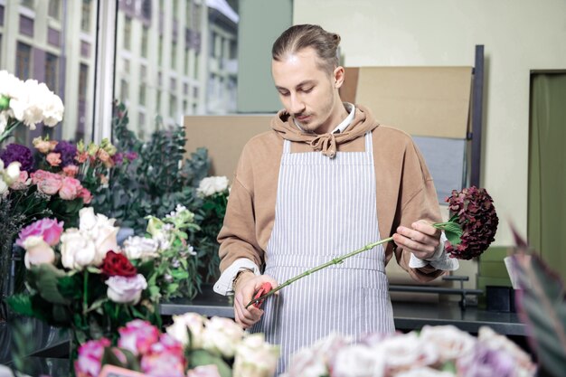 Conscious worker. Competent florist cutting stalk while going to compose ikebana