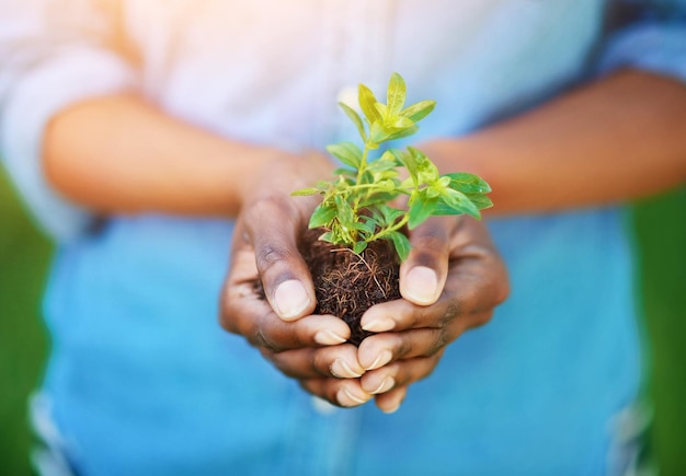 Conserving the environment Cropped shot of a person holding a plant growing in soil