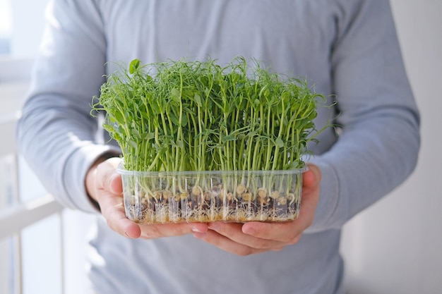 Photo a container of fresh herbs is full of grass