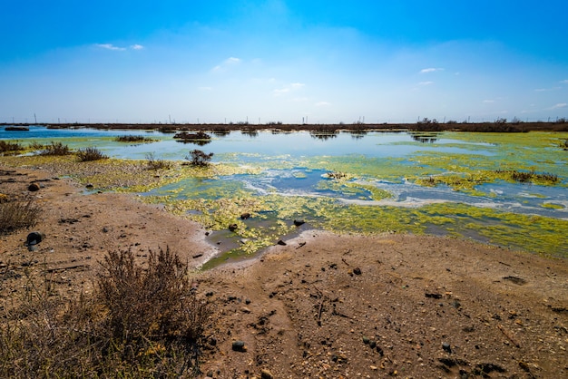 Contaminated drying lake