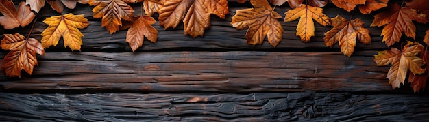 A contemporary clean setup with a sparse corner border of yellow and brown leaves set against a sleek dark oak background wide space above for editorial content