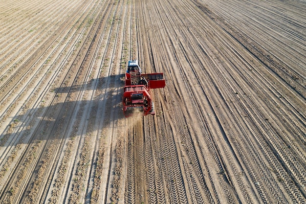 Contractors harvest potatoes and when full they are unloaded into bins and taken to the farm coolstore