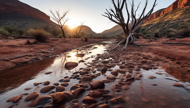 Photo the contrast between dry arid land and a waterrich oasis