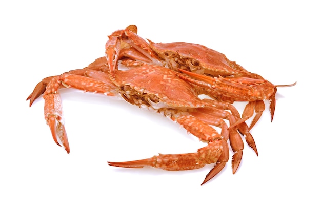 Cooked Crab Isolated