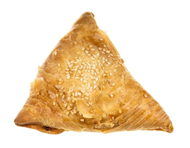 Cooked Samsa isolated on white background