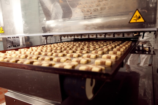 Cookie making machine in the factory