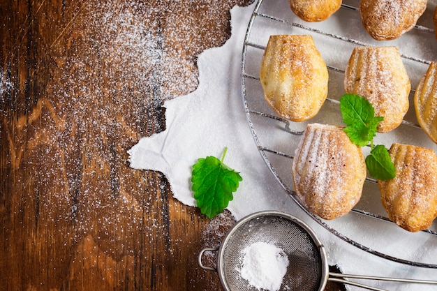 Cookies Madeleine and strainer with powdered sugar