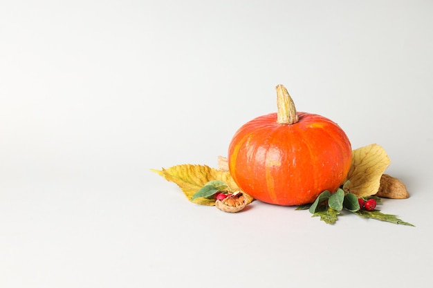 Cooking ingredients for fall season pumpkin seeds pumpkin