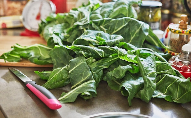 Cooking Swiss chard according to the recipe from the Internet Swiss chard pie.