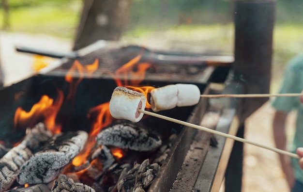 Cooking white marshmallow with chocolate on a background of fire Picnic outdoor party in the park