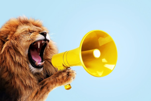 Cool beautiful lion holding and screaming into a yellow loudspeaker on a blue background Business management and boss a creative idea Successful advertising and management concept Attention