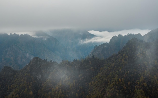 Cool morning fog over the forest mountain slopes