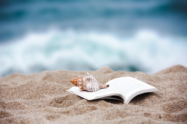 A cool summer sea beach landscape with seashore sand conch and blue waves on a book