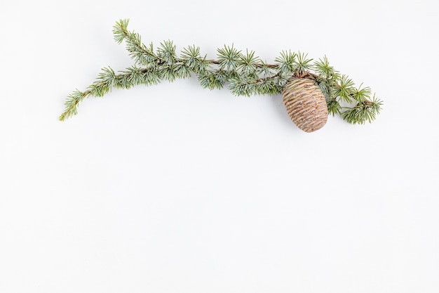 Copy space with Christmas tree branch and pine cone, flat lay, top view