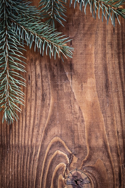 Copyspace christmas background branches of fir tree on old wooden board