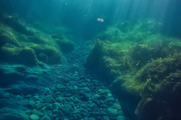 coral reef underwater landscape, lagoon in the warm sea, view under water ecosystem