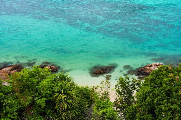 Coral reefs along the coast Turquoise water with green bushes in front of the sea