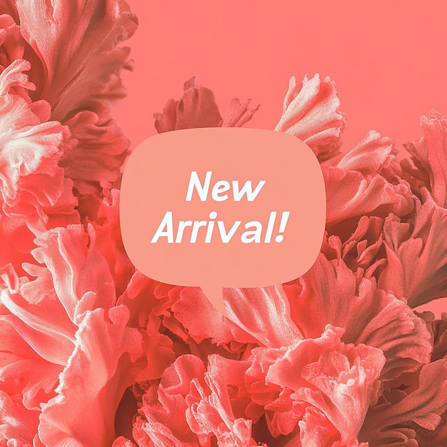 Coral and White New Arrival Banner