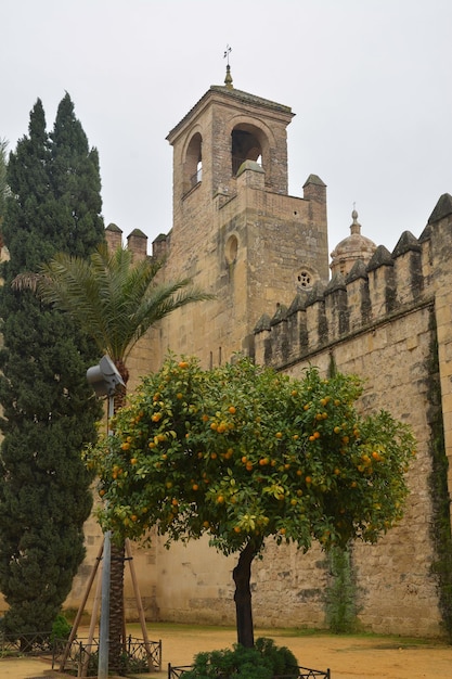 Cordoba on a rainy autumn day