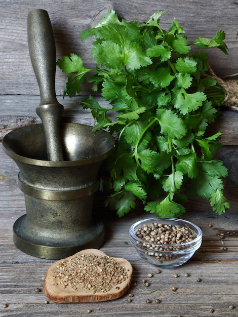 Coriander - ground, grains and green leaves on the kitchen table