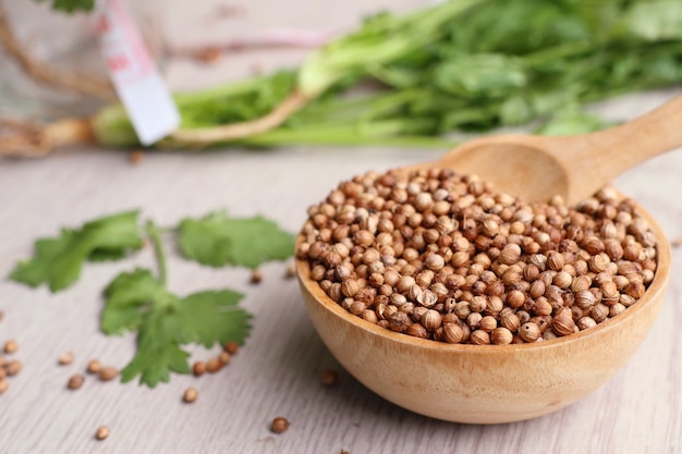 Coriander seeds and fresh