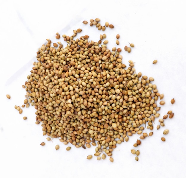 Coriander seeds isolated on white background