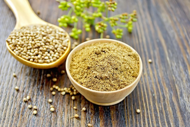 Coriander seeds in a spoon and powder in a bowl, umbrella immature green coriander seeds on the background of wooden boards