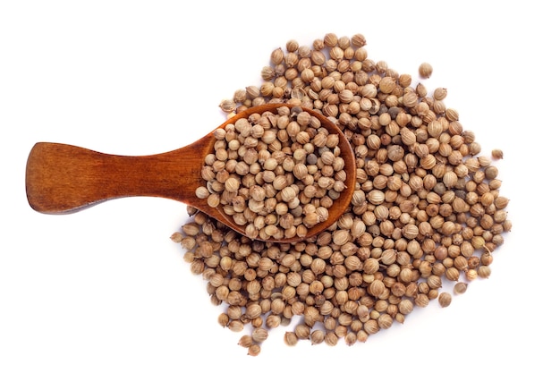 Coriander seeds in wood spoon on white background