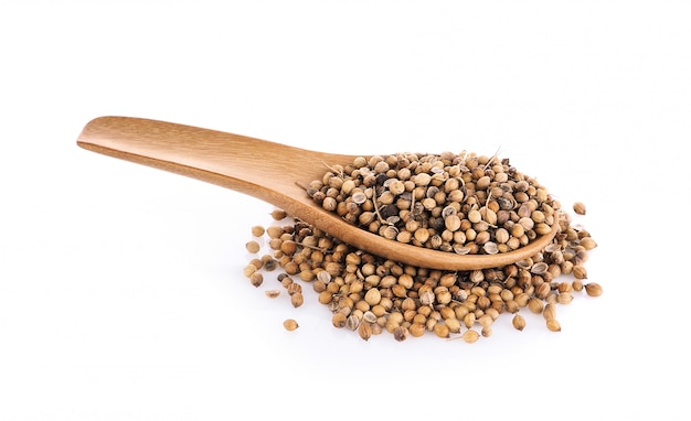 Coriander seeds in wood spoon