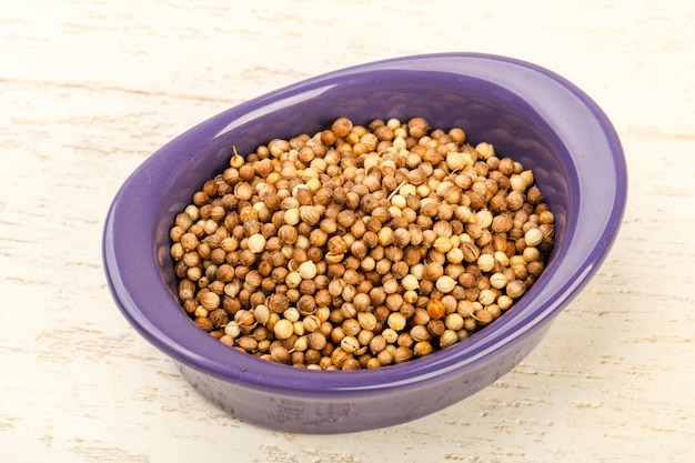 Coriander seeds