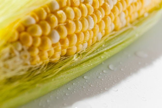 Corn cob closeup