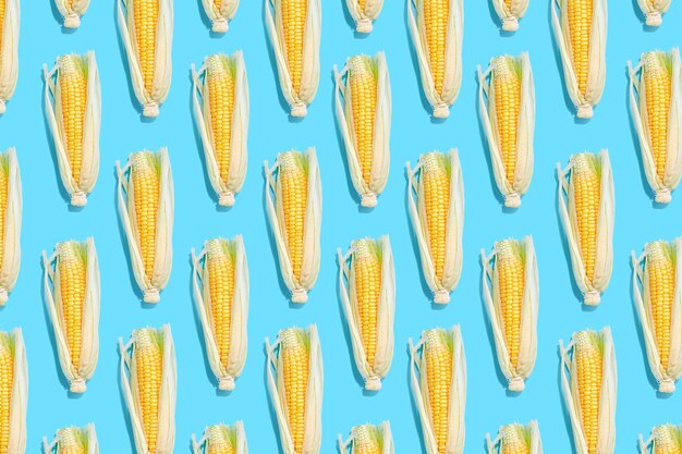 Corn on the cob on colored background pattern