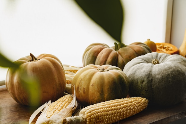 Corn cob and pumpkin on brown wooden board