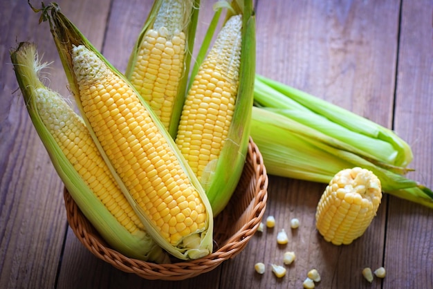 Corn on the cob Sweet corn for cooking food Fresh corn on wooden background Harvest ripe corn organic