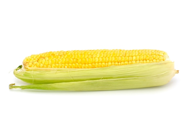 Corn on the cob