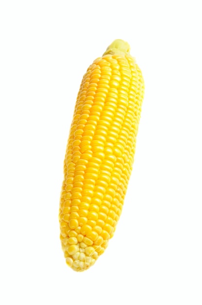 Corn cob