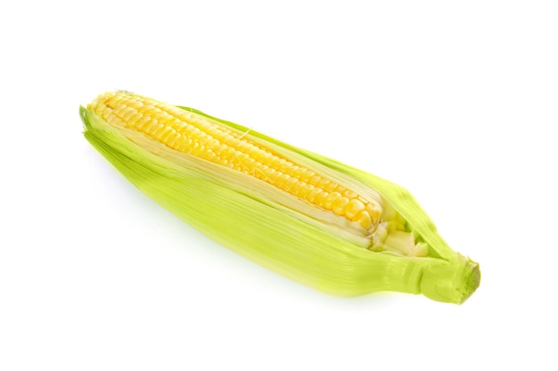 Corn cob