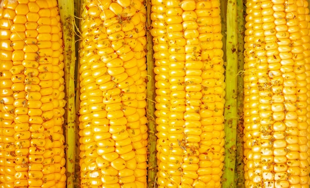 Corn cobs with spiced and leaves The concept of simple natural healthy food and seasonal vegetables