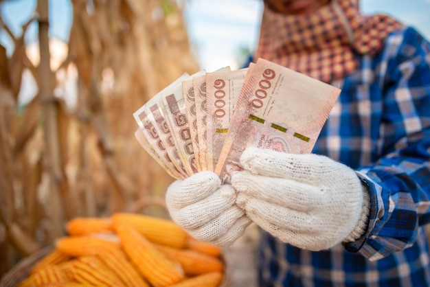 Corn growers hold Thai bank notes The concept of the profit from the trade behind is corn and corn fields