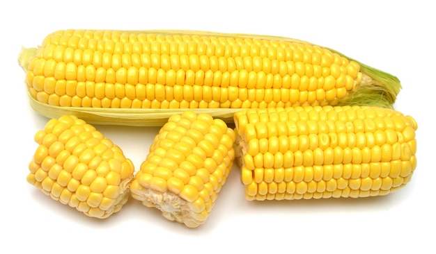 Corn isolated on white background Top view flat lay