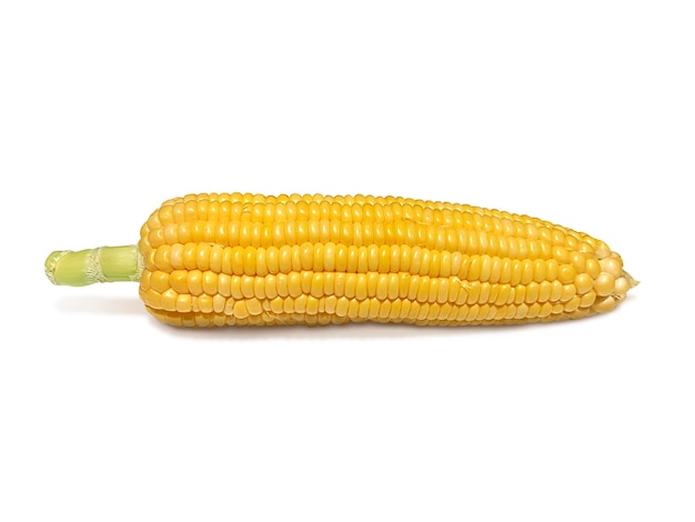 Corn isolated on white background