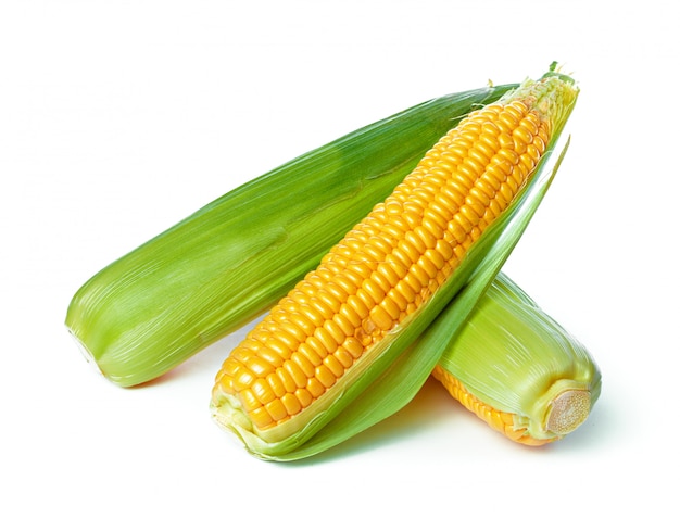 Corn isolated on white background