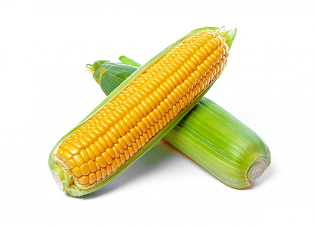 Corn isolated on white isolated