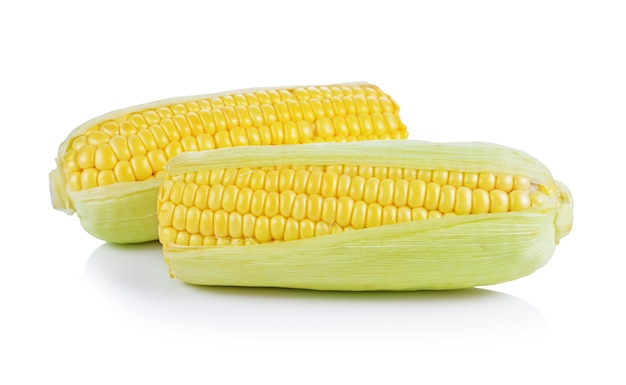 Corn isolated on white