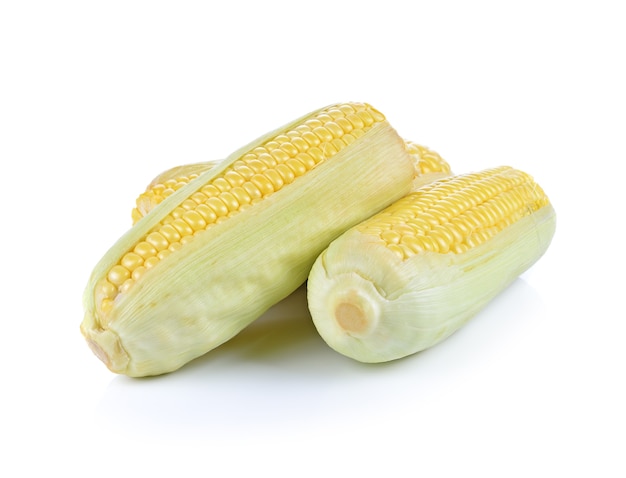 Corn isolated on white