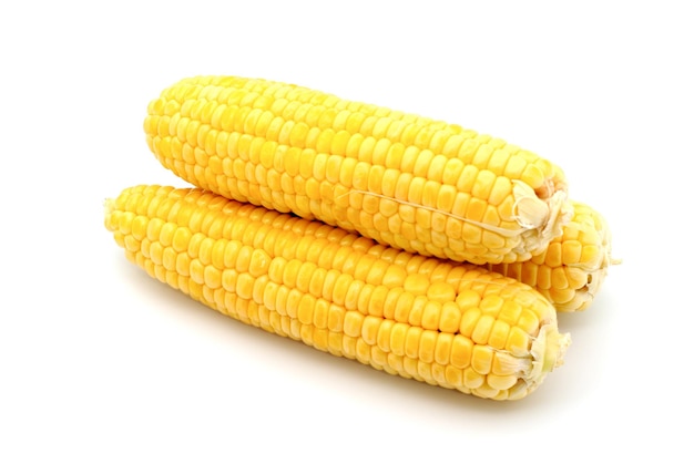 Corn isolated on white