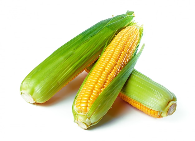 Corn isolated 